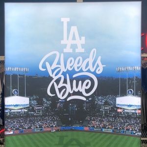 Meet your Posher, Diana